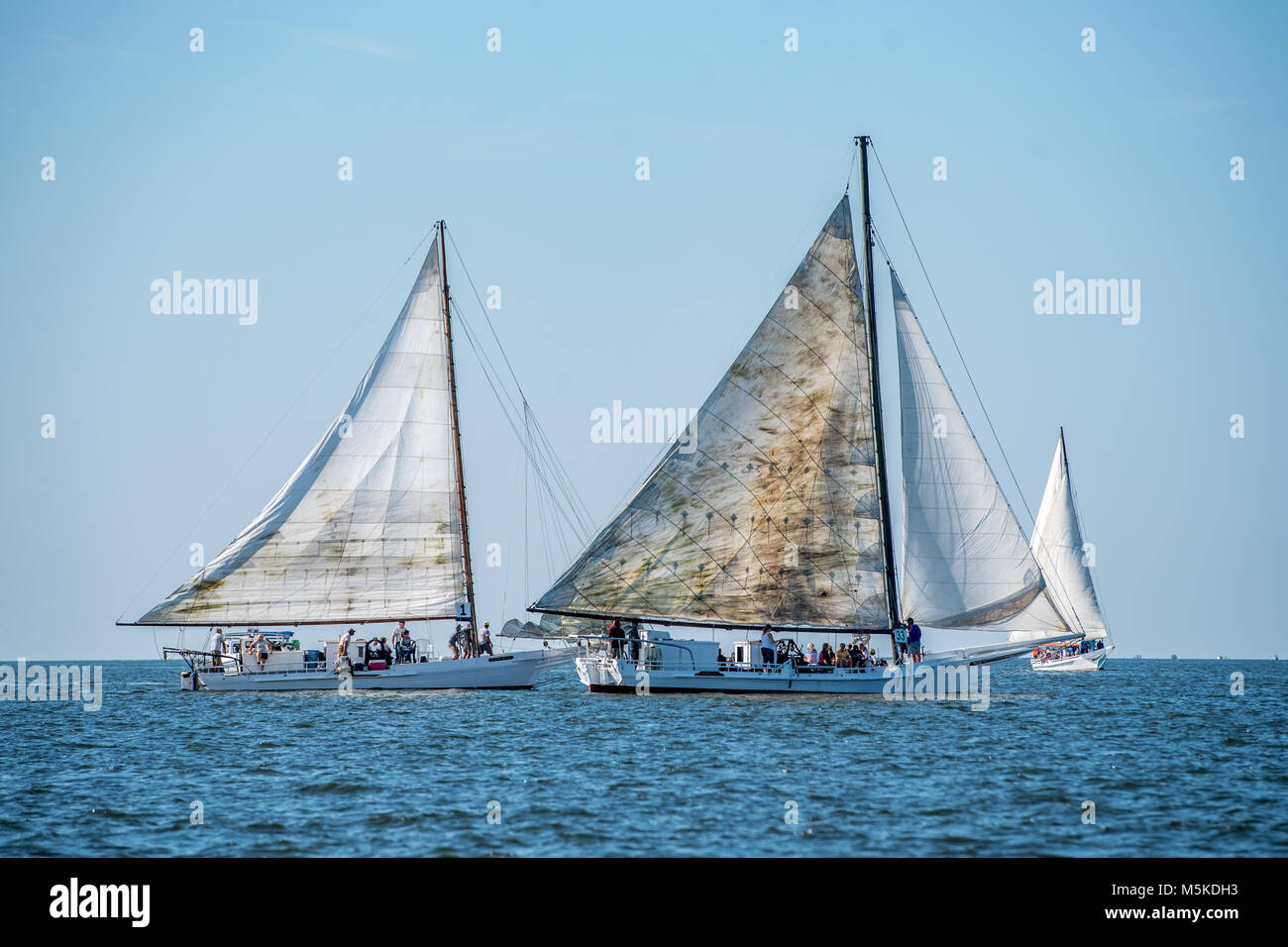 Two traditional Skipjack boats sailing neck and neck on the Chesapeake
