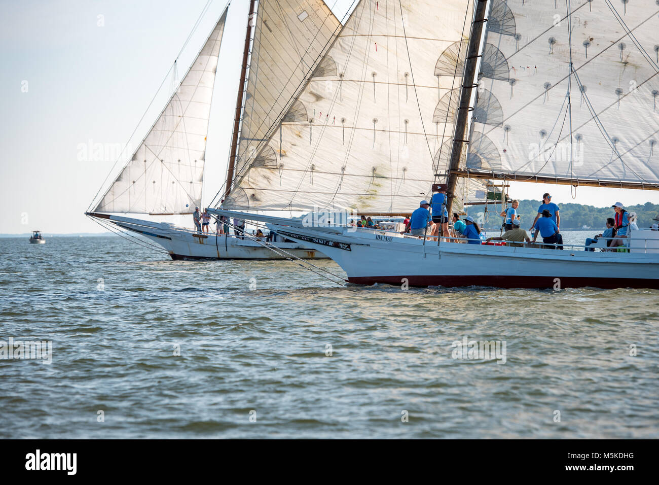 Skipjack Ride Two traditional skipjack boats crossing paths on the waters of the ...