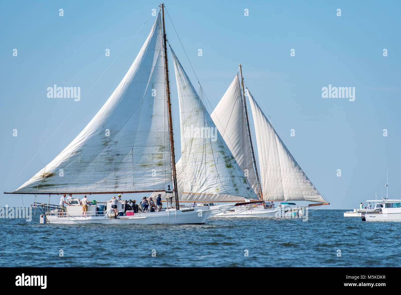 Two traditional Skipjack boats sailing neck and neck on the Chesapeake