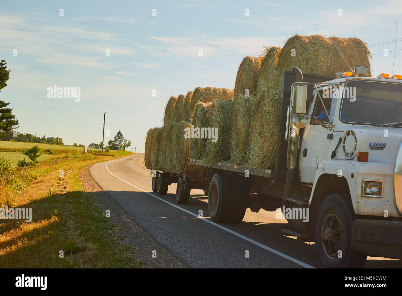 Lorry and trailer transporting bales of hay, Prince Edward Island, Canada (PEI), Canada Stock Photo
