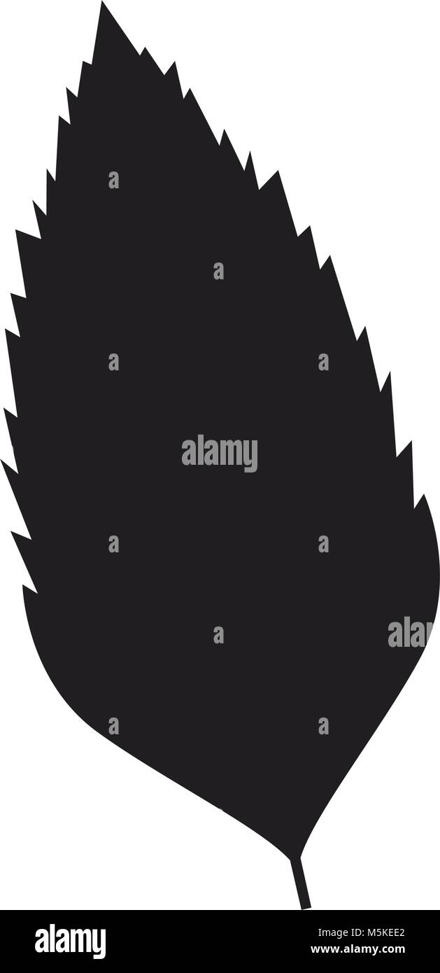 tropical exotic palm leaves natural flora Stock Vector Image & Art - Alamy