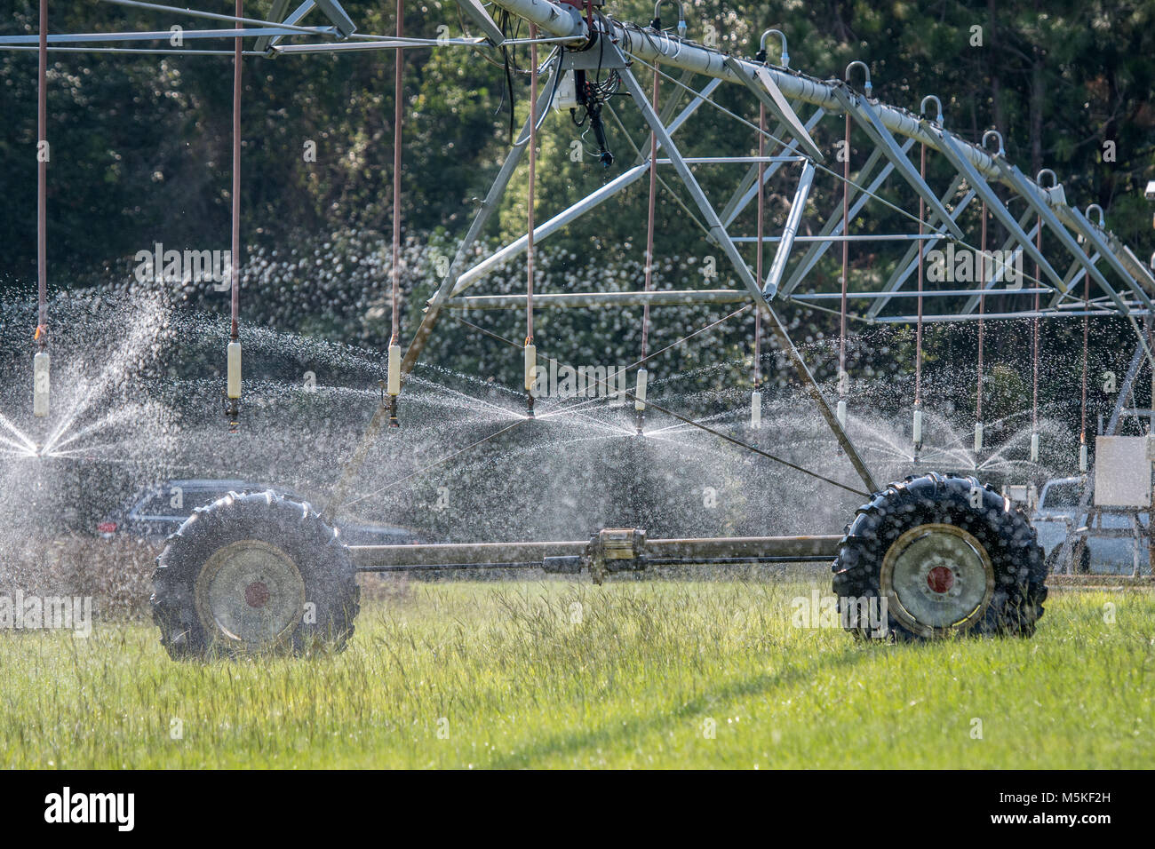 Line of sprinkler heads attached to irrigation system let out a spray of water to hydrate soybean field, Tifton, Georgia. Stock Photo