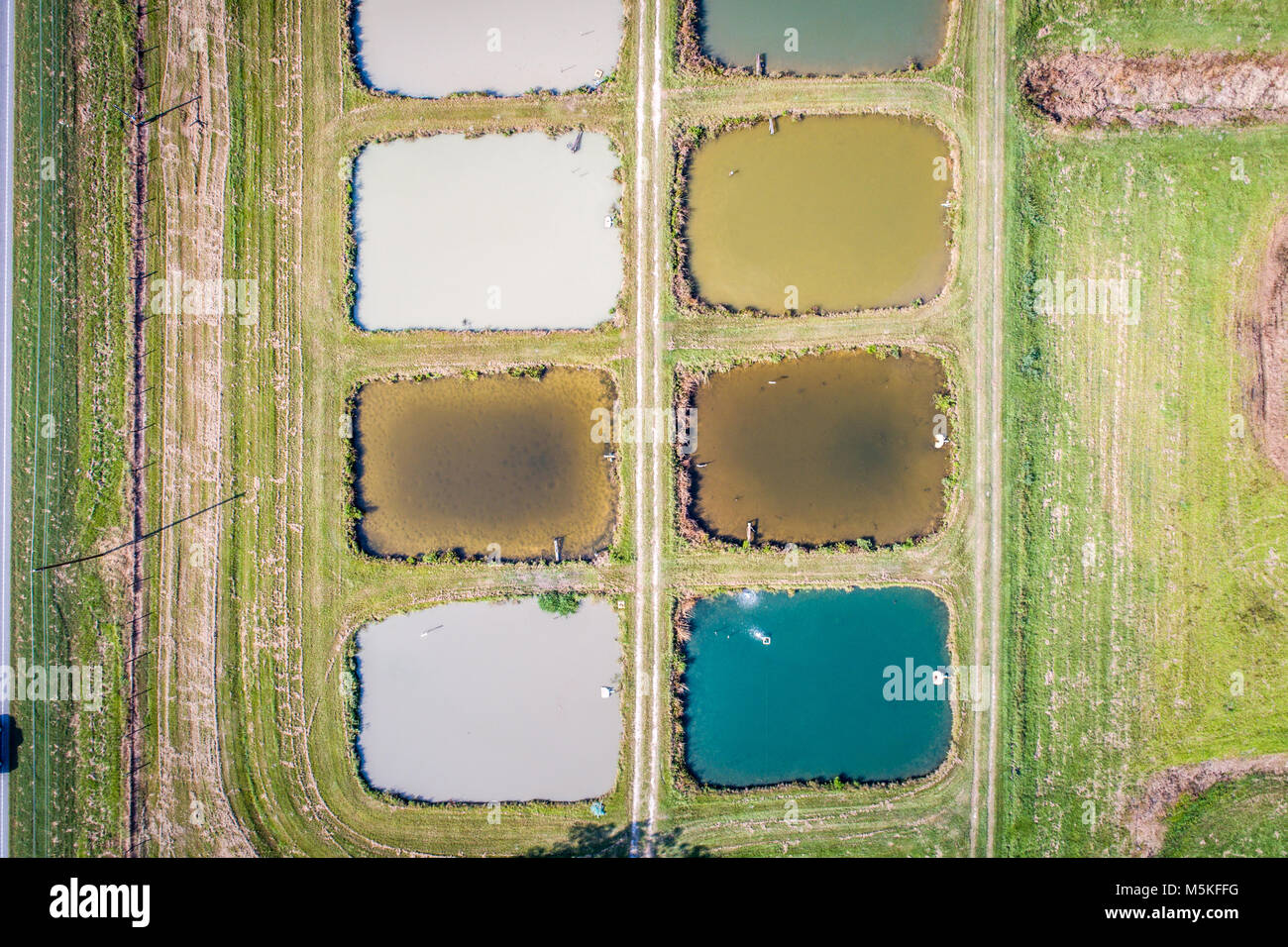 Aquaculture ponds hires stock photography and images Alamy