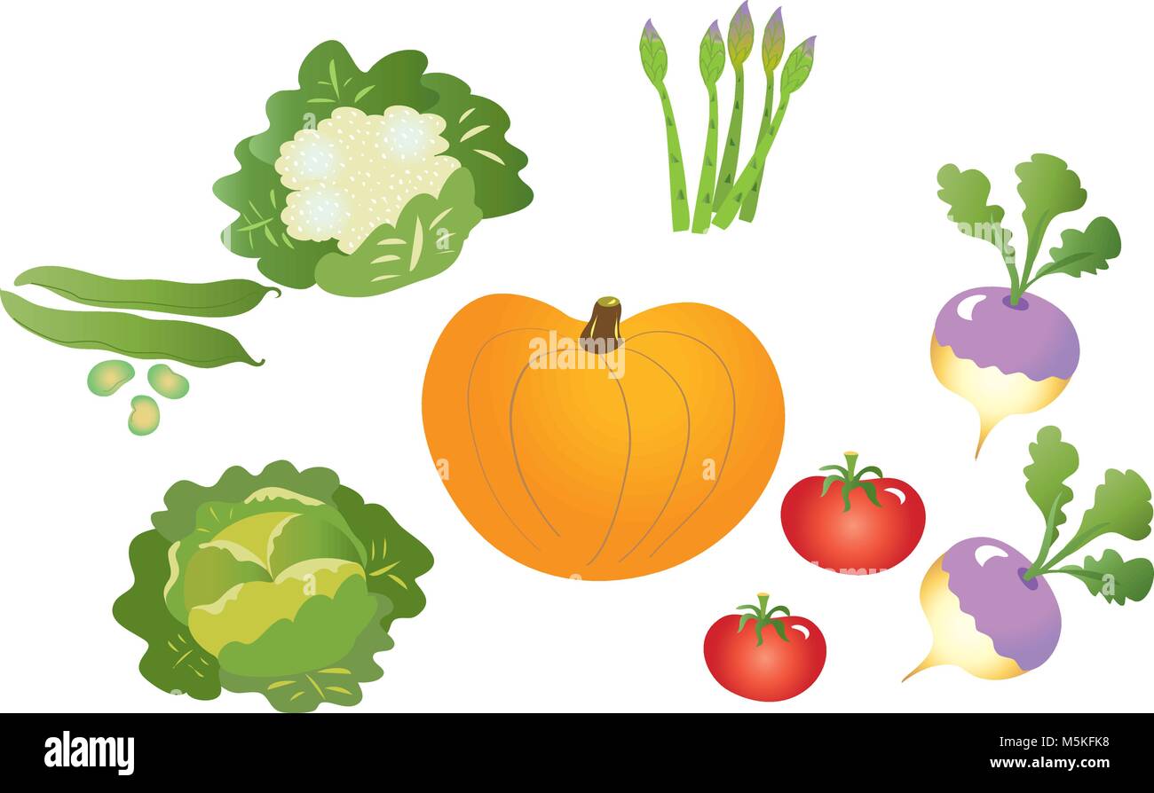 Selection of fresh vegetables Stock Vector Image & Art Alamy