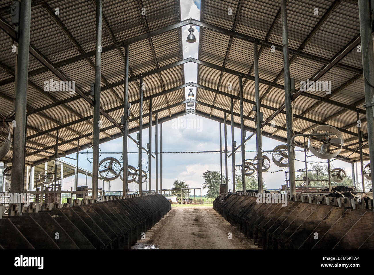 University of Tifton Campus Coastal Plain Experiment Station