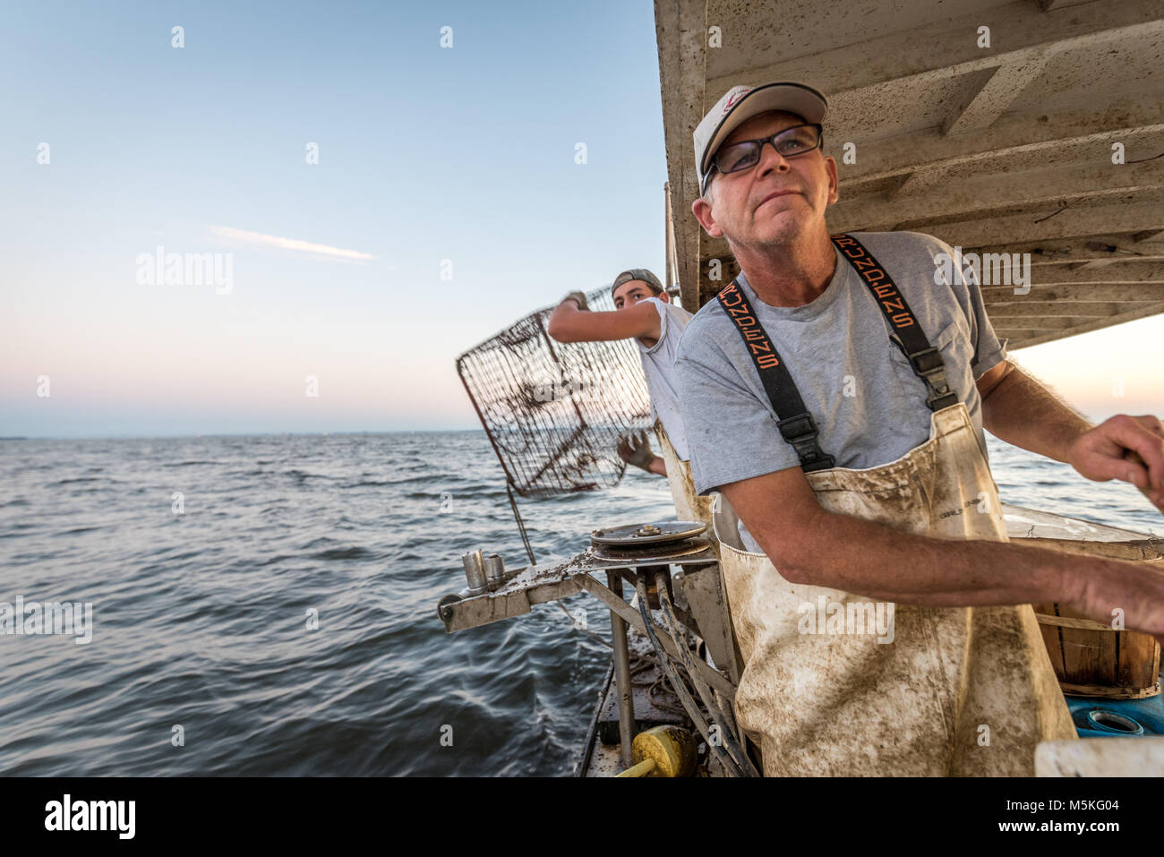 Young waterman throws crab trap into Cheaspeake Bay as older waterman drives boat, Dundalk, Maryland. Stock Photo