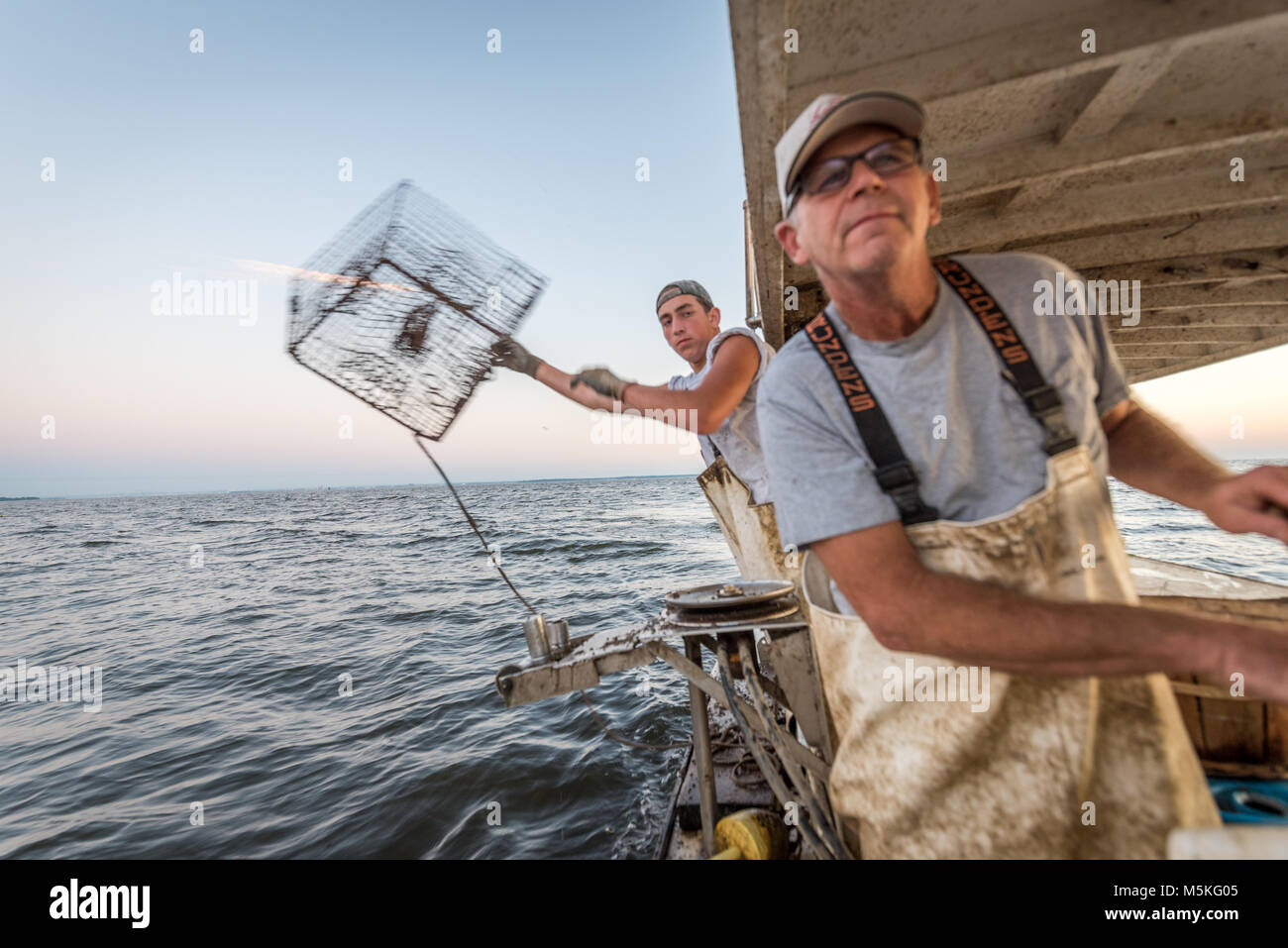 Young waterman throws crab trap into Cheaspeake Bay as older waterman drives boat, Dundalk, Maryland. Stock Photo