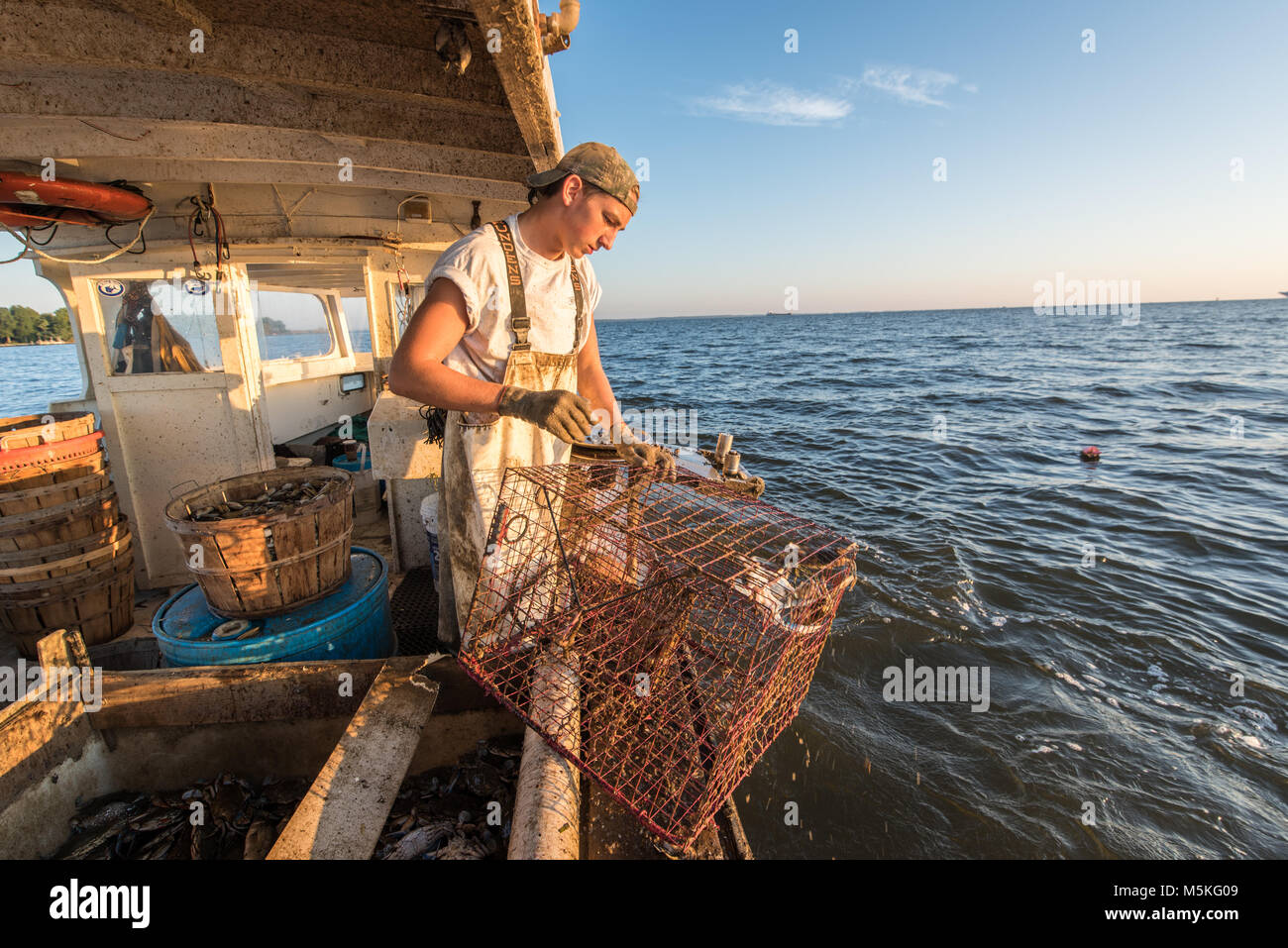 Young waterman pulling in crab trap onto boat on the Chesapeake Bay with the horizon in the background, Dundalk, Maryland. Stock Photo