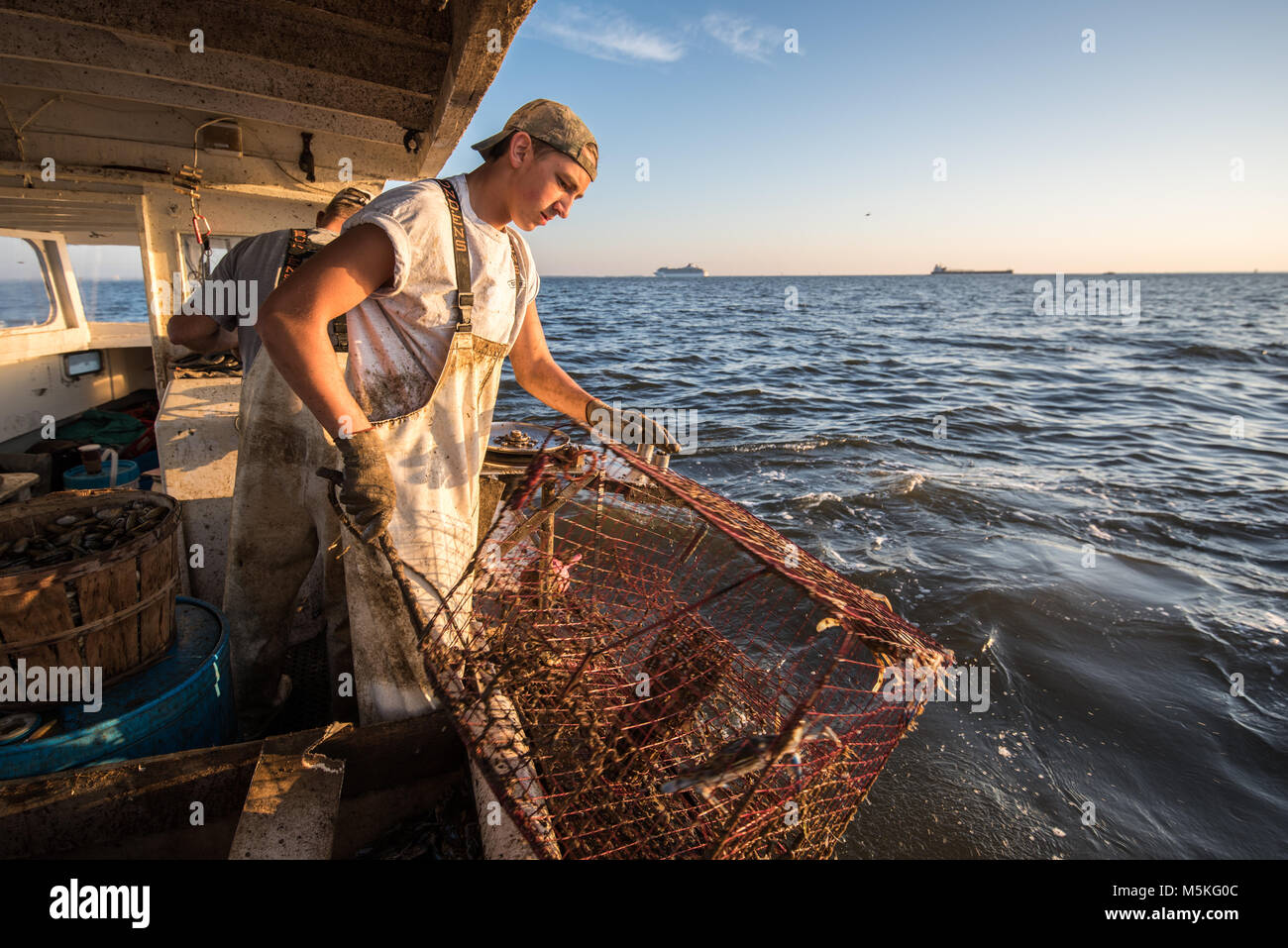 Young waterman pulling in crab trap onto boat on the Chesapeake Bay with the horizon in the background, Dundalk, Maryland. Stock Photo