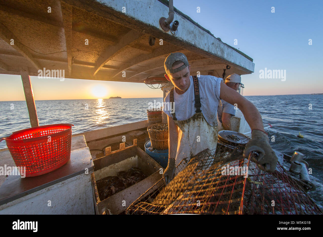 Young waterman pulls in crab trap from Chesapeake Bay as the sun rises in background, Dundalk, Maryland. Stock Photo