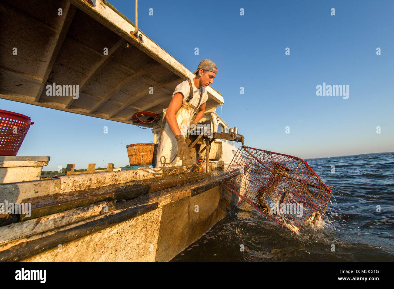 Young waterman throw baited crab trap off of boat and into the waters of the Chesapeake Bay, Dundalk, Maryland. Stock Photo