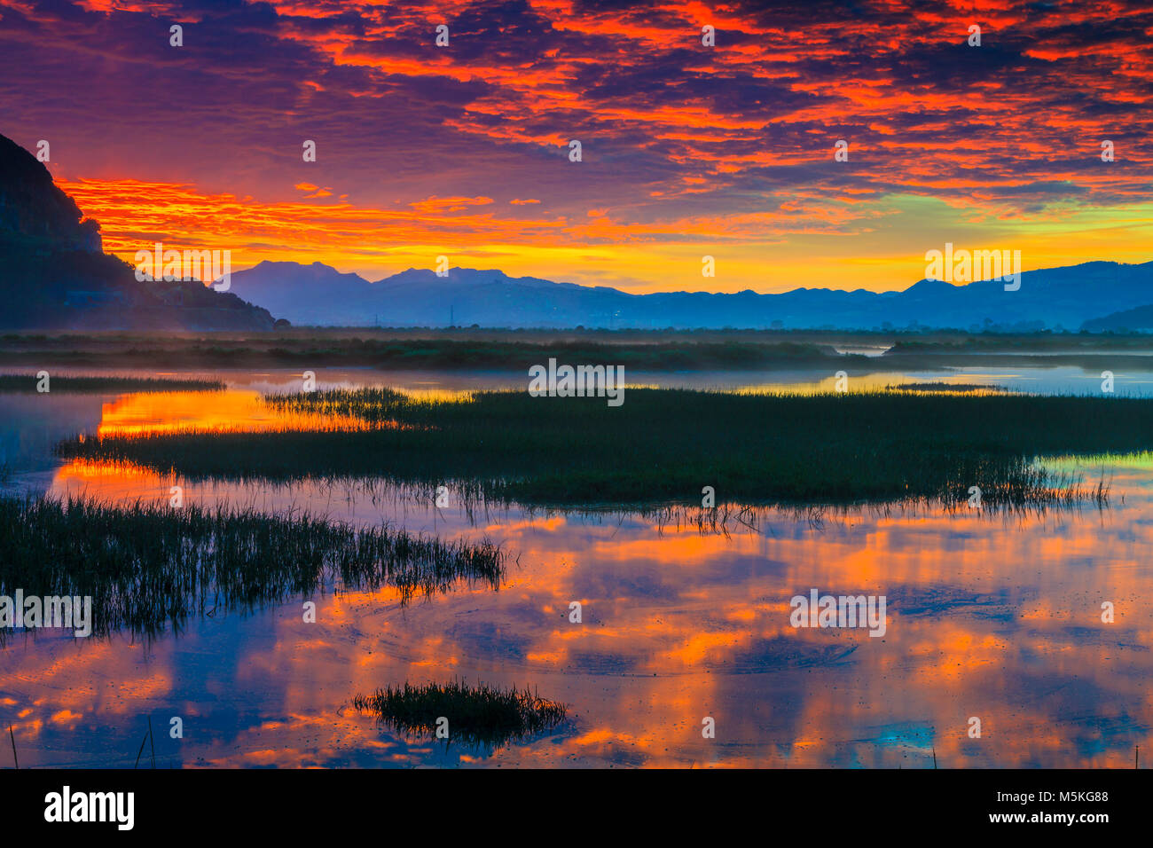 Salt marshes at dusk. Stock Photo