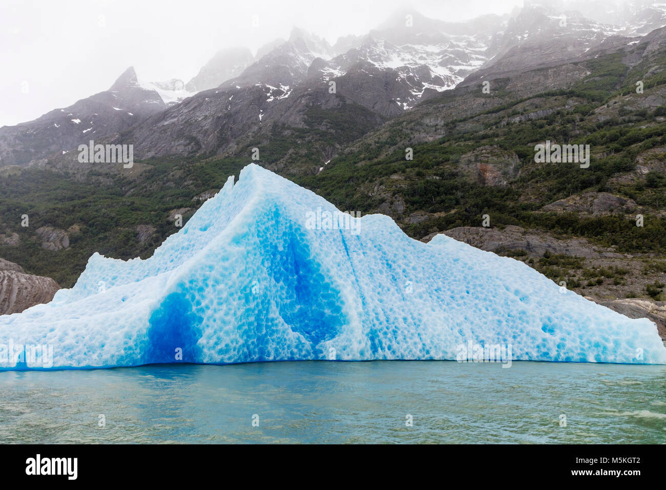 Iceburgs calved from Glaciar Grey float in Lago Grey; Torres del Paine National Park; Patagonia; Chile Stock Photo