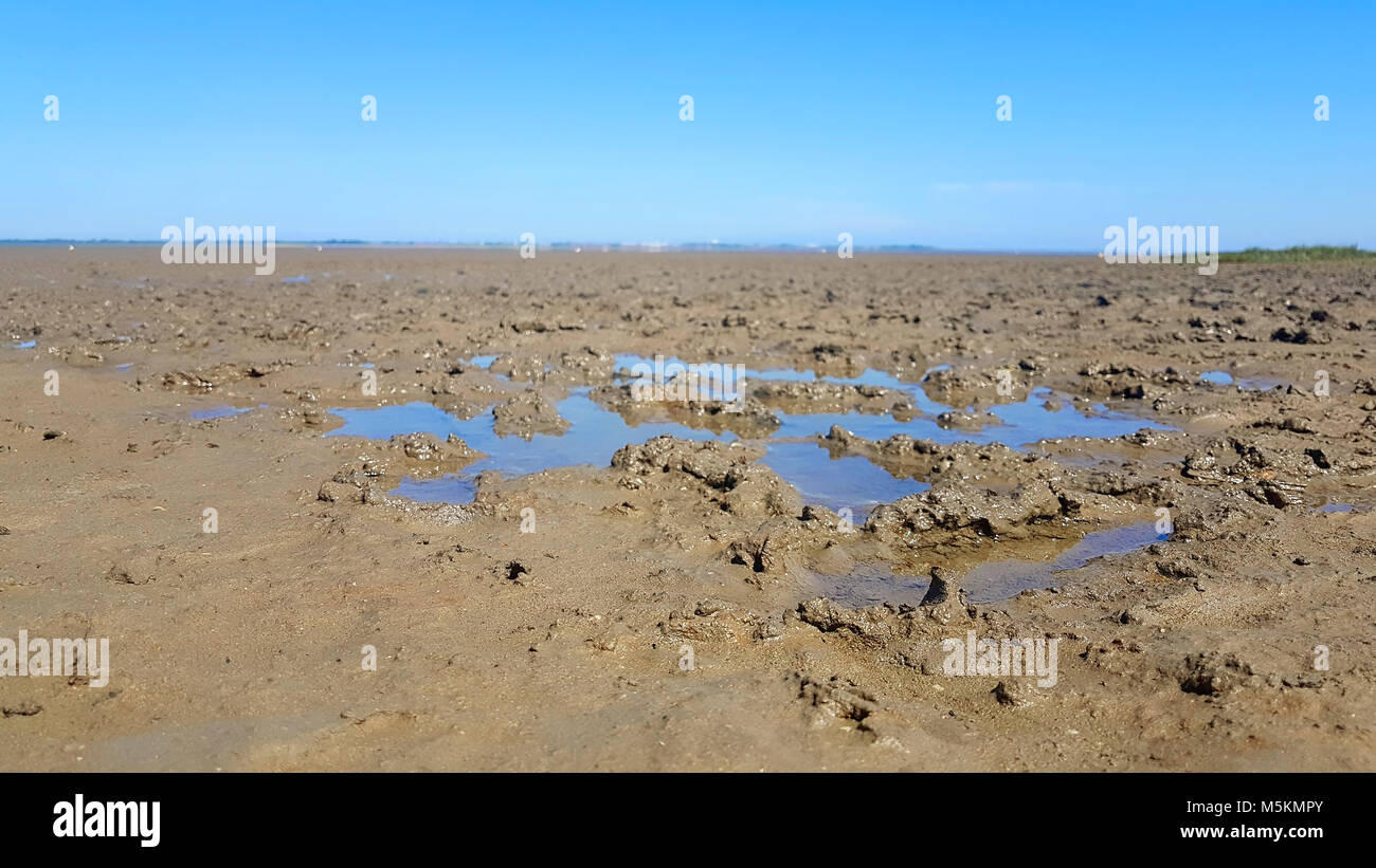 North Sea by low tide with mud flat Stock Photo