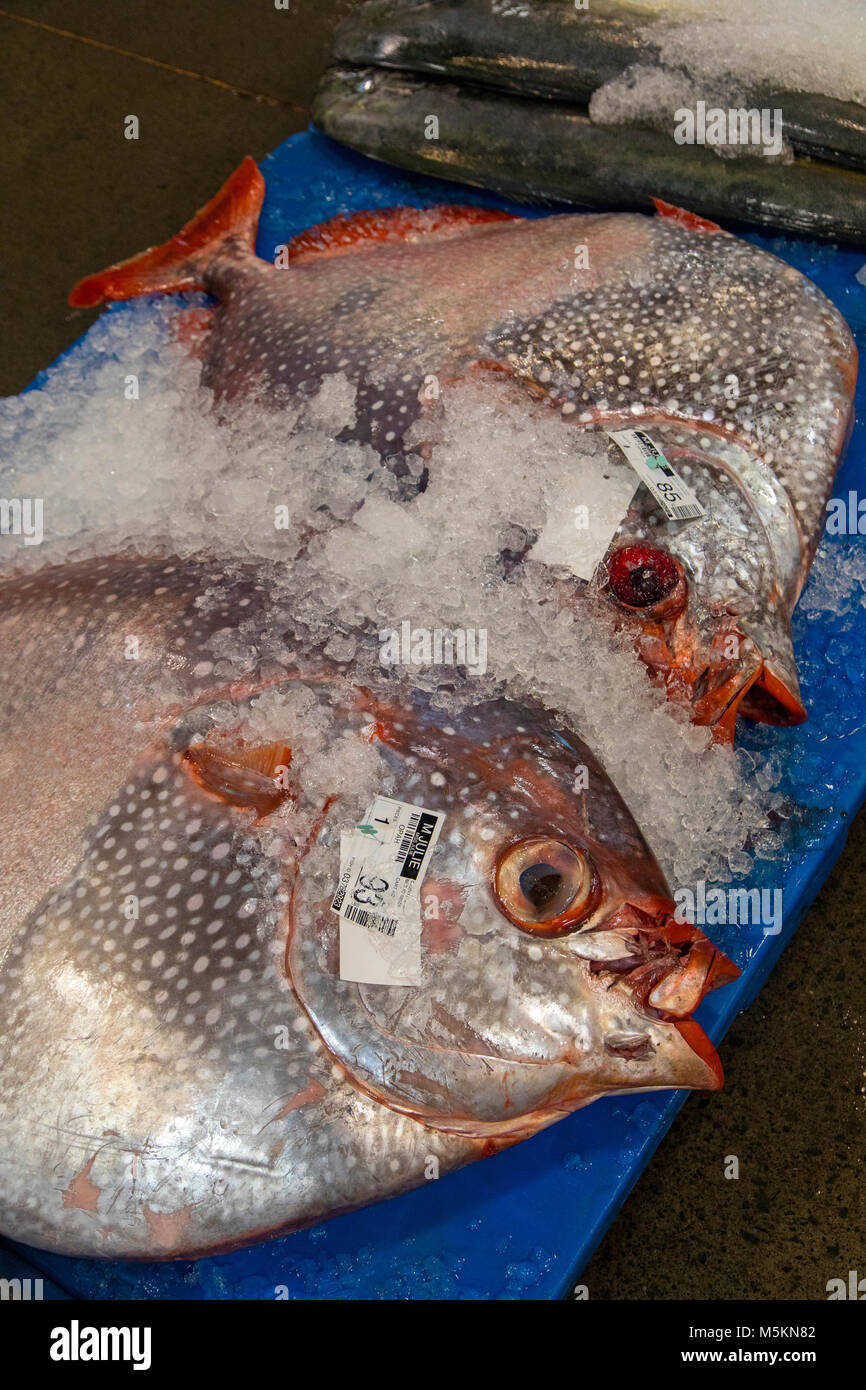 Opah Fish Stock Photos & Opah Fish Stock Images Alamy