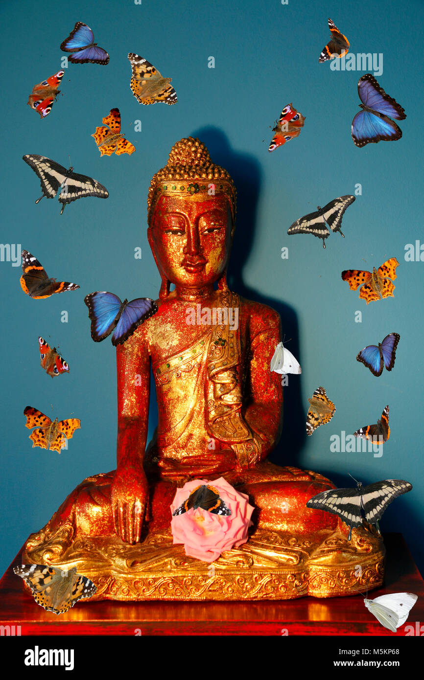 Red golden Buddha surrounded by butterflies Stock Photo - Alamy Red golden Buddha surrounded by butterflies Stock Photo - Alamy