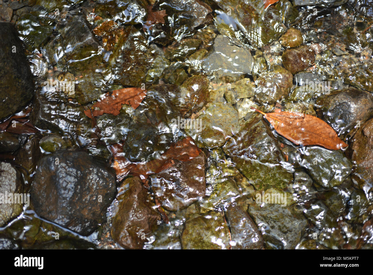 Aatexture hi-res stock photography and images - Alamy