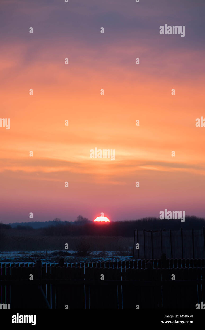 coloured sunrise against frozen field with snowy reeds Stock Photo
