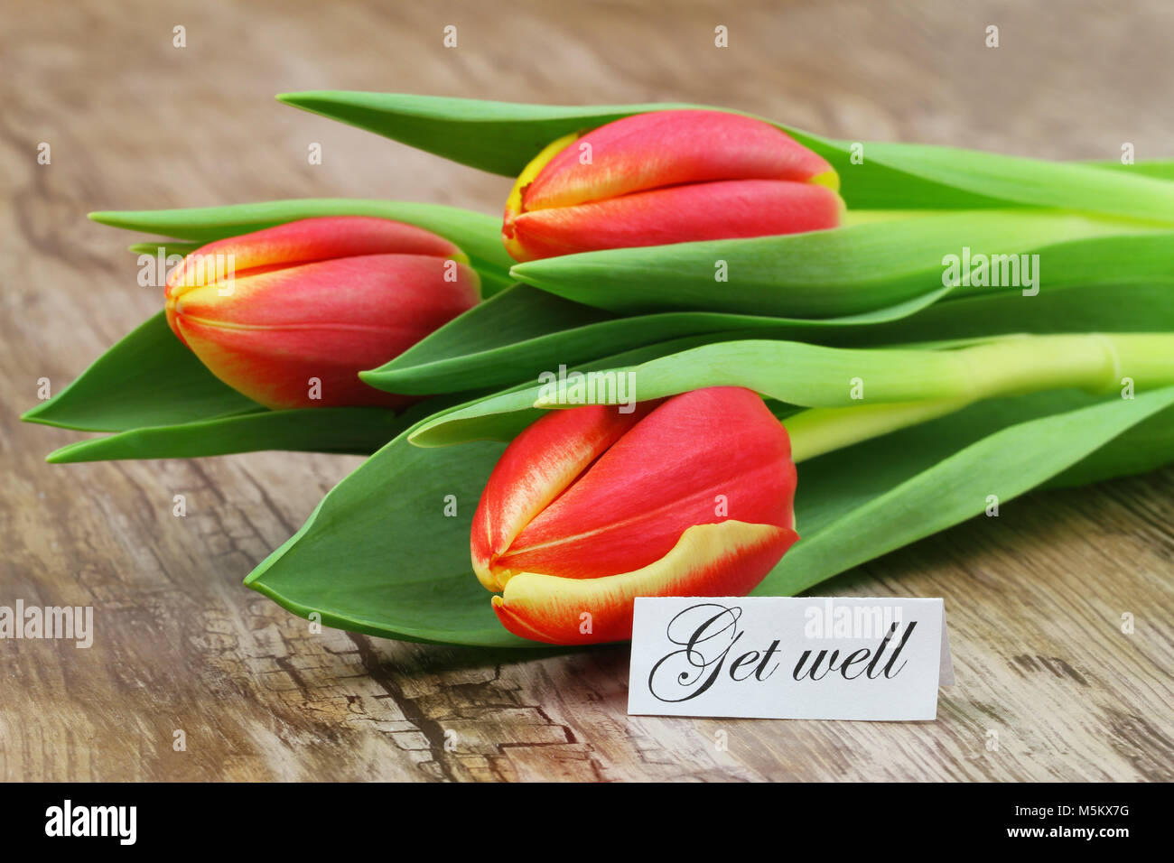 Get well card with three red and yellow tulips on wooden surface Stock ...