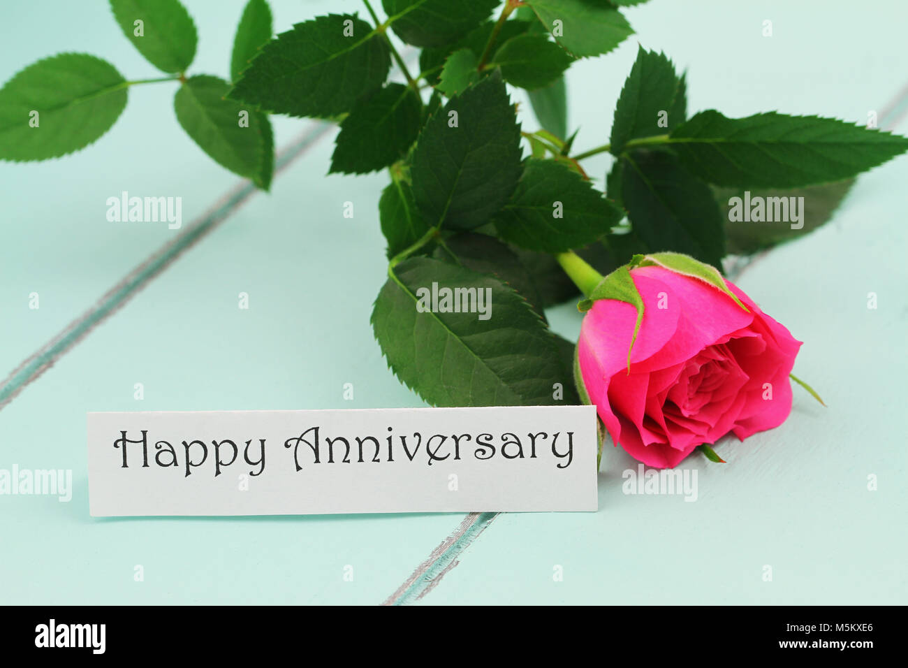 Happy Anniversary card with pink wild rose on wooden surface Stock ...