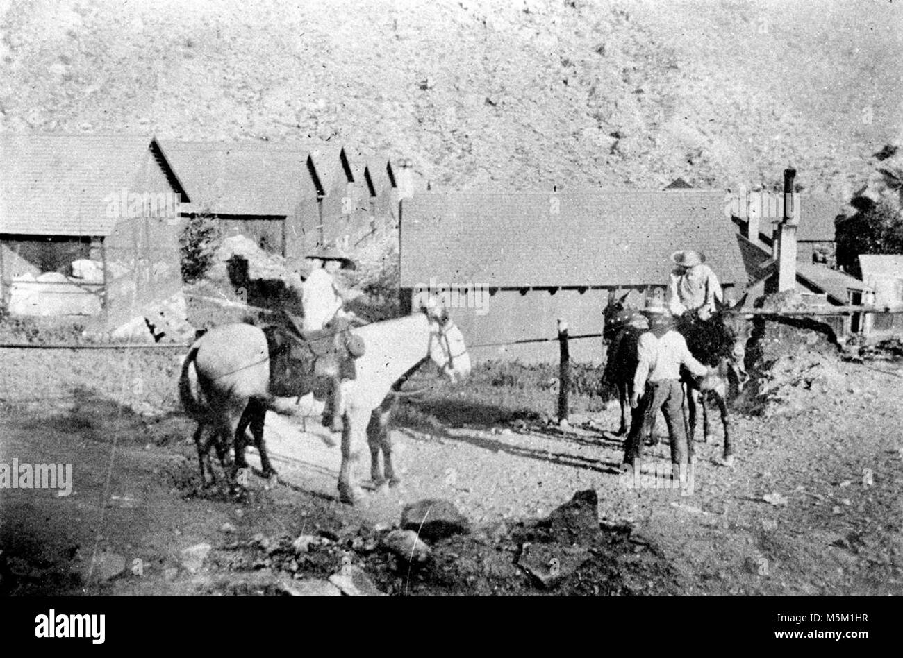 Grand Canyon Hermit Camp Scene  . Faded photo of mule party preparing to leave hermit camp. Row of cabins behind. 26 july 1919. Madden. Hermit Trail Much pioneer period history of northern Arizona revolves around various schemes of development designed to promote and capitalize on the indescribable but undeniable magic of the Grand Canyon. The Hermit Creek basin was the scene of one of the most aggressive of these improvement eff Stock Photo