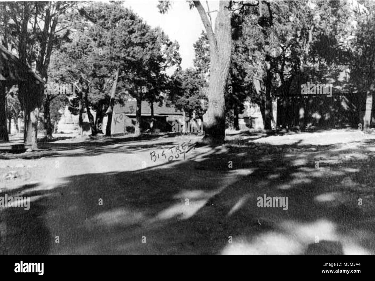 Grand Canyon Historic Bright Angel Lodge Construction C