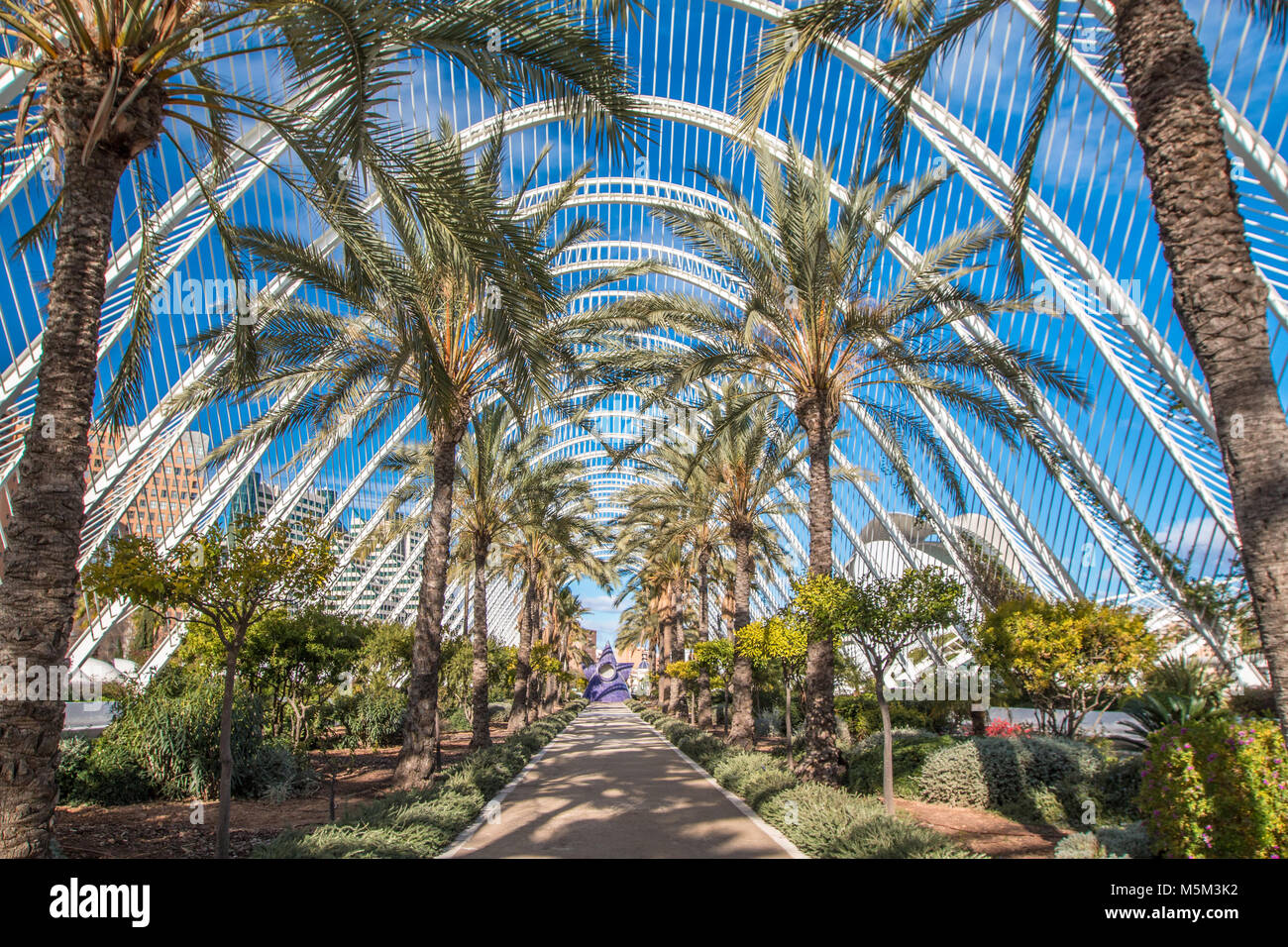 Science city in Valencia Spain Stock Photo