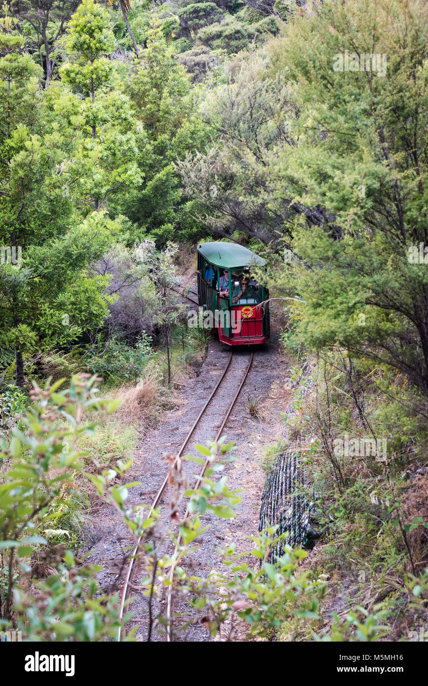 Driving Creek Railway and Pottery, Coromandel, New Zealand Stock Photo