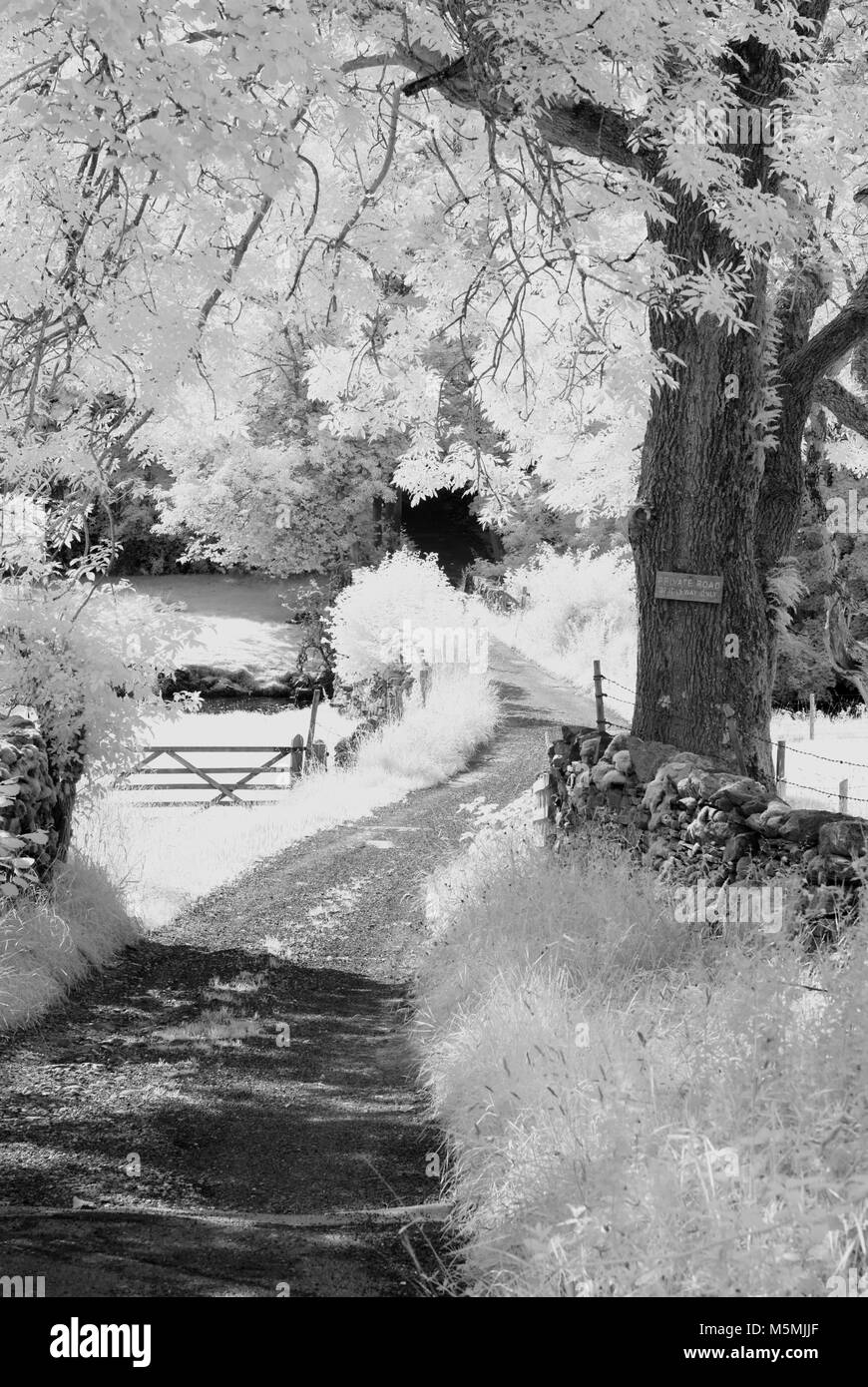 A location shoot of Kendall in the Lake District. Infra Red DSLR, Bright sunny day, Photographer Claire Allen. Beautiful Landscape Photography Stock Photo