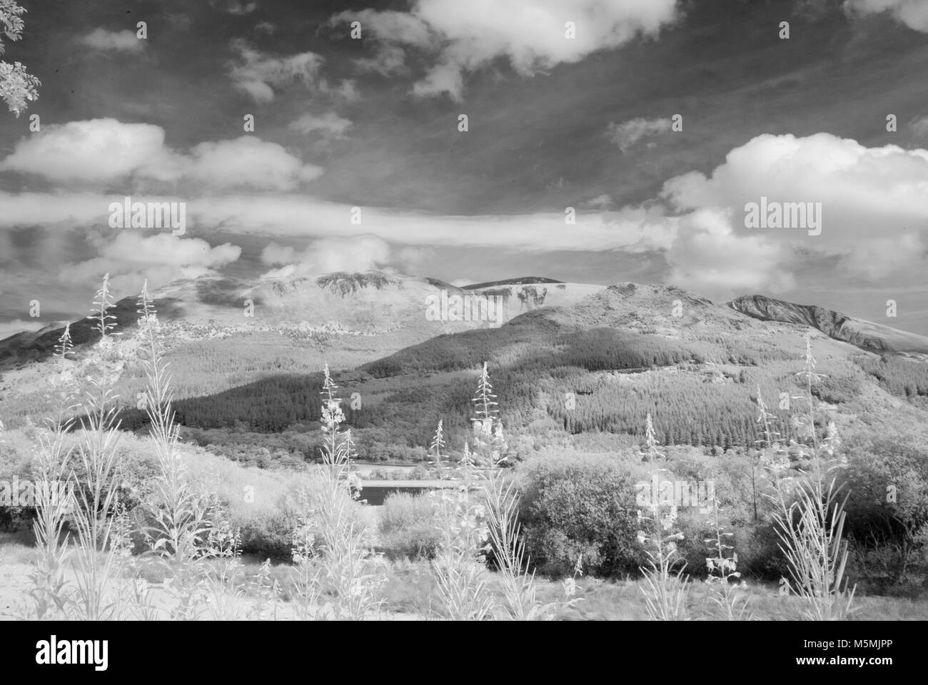 A location shoot of Kendall in the Lake District. Infra Red DSLR, Bright sunny day, Photographer Claire Allen. Beautiful Landscape Photography Stock Photo