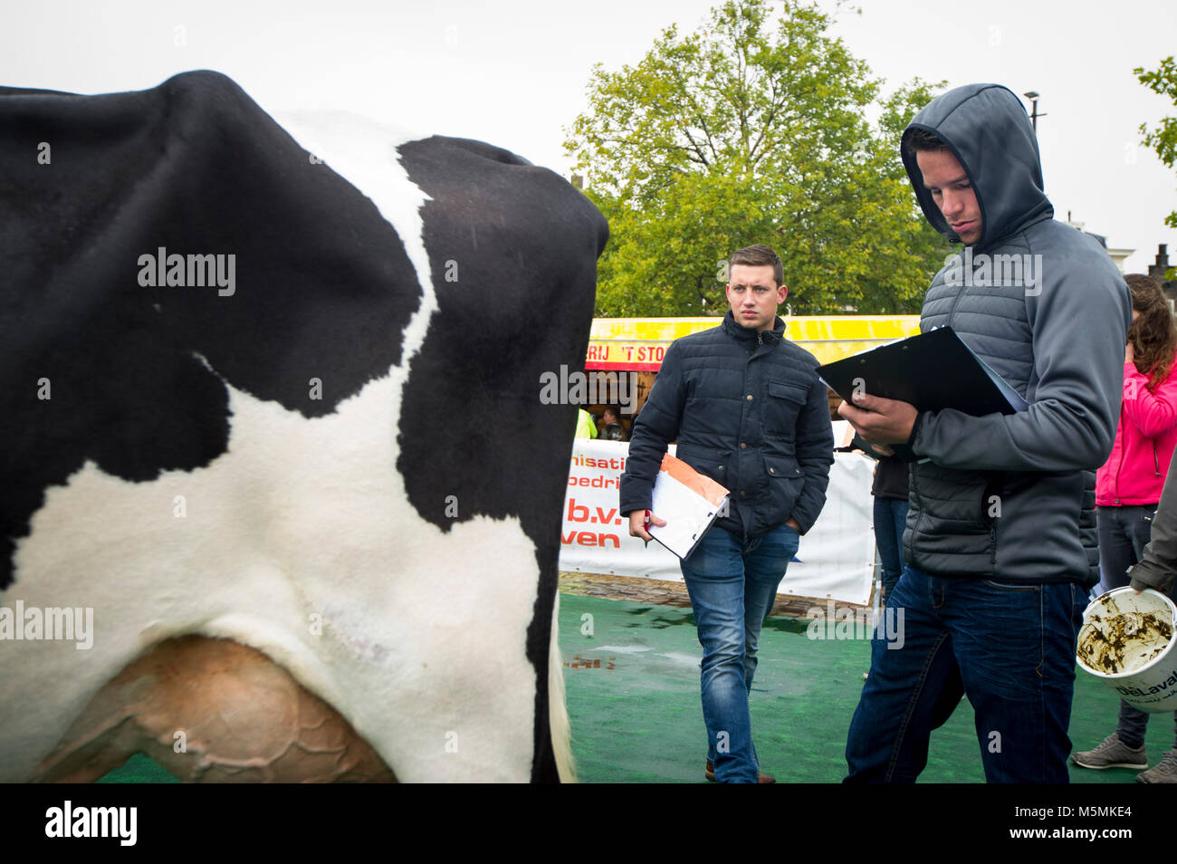 Gouda. 16-09-2017. Dutch Championship Livestock judging Stock Photo