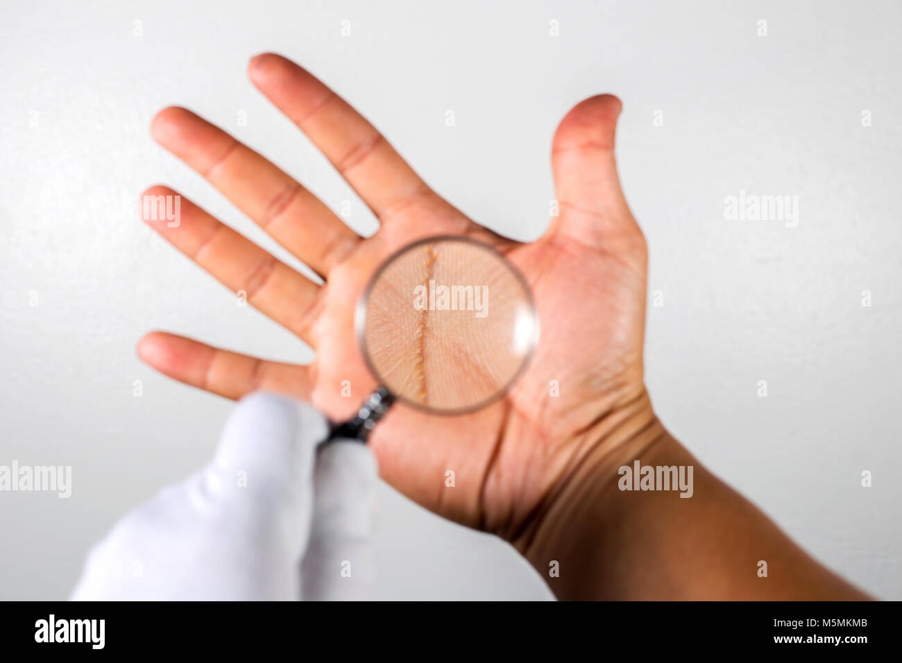 Looking at the lines on the hand through a magnifying glass.On the gray background. Stock Photo