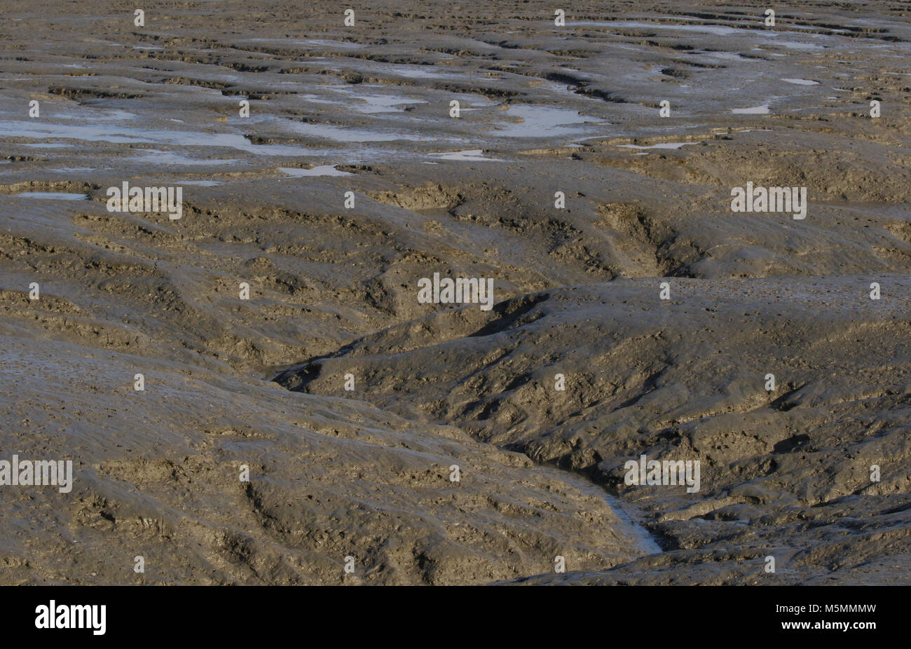 River Thames at Low Tide Stock Photo