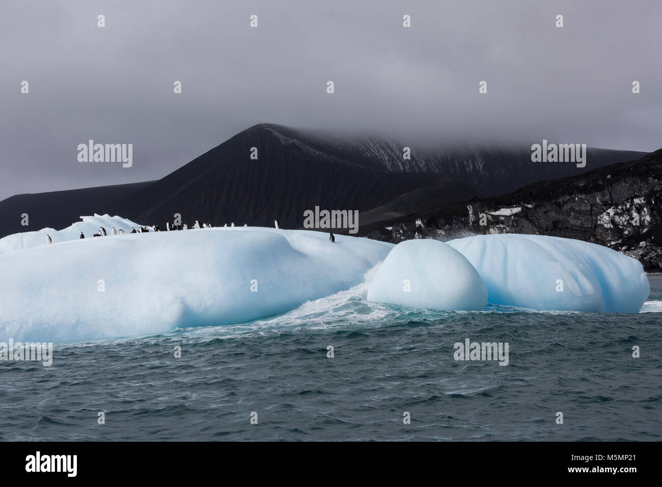 British Overseas Territory, South Sandwich Islands, Saunders Island