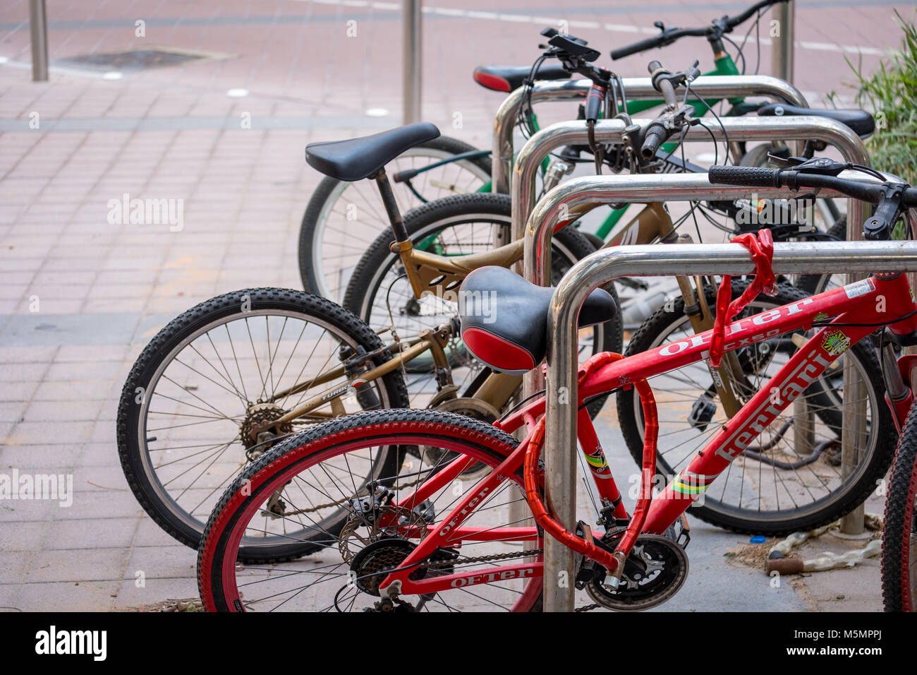 Bunch of cycles parked near street Stock Photo