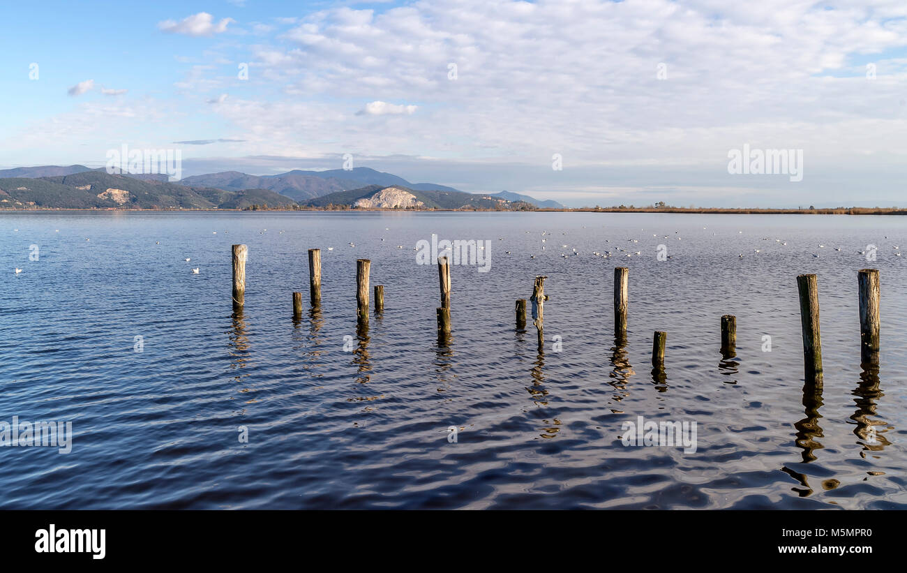 Panoramic View Of Massaciuccoli Lake In Torre Del Lago Puccini Stock Photo Alamy