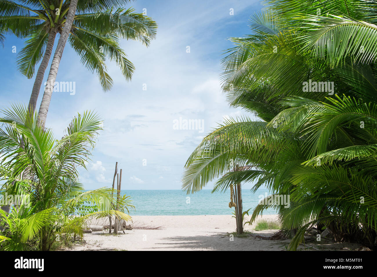 Cruise tropic hi-res stock photography and images - Alamy