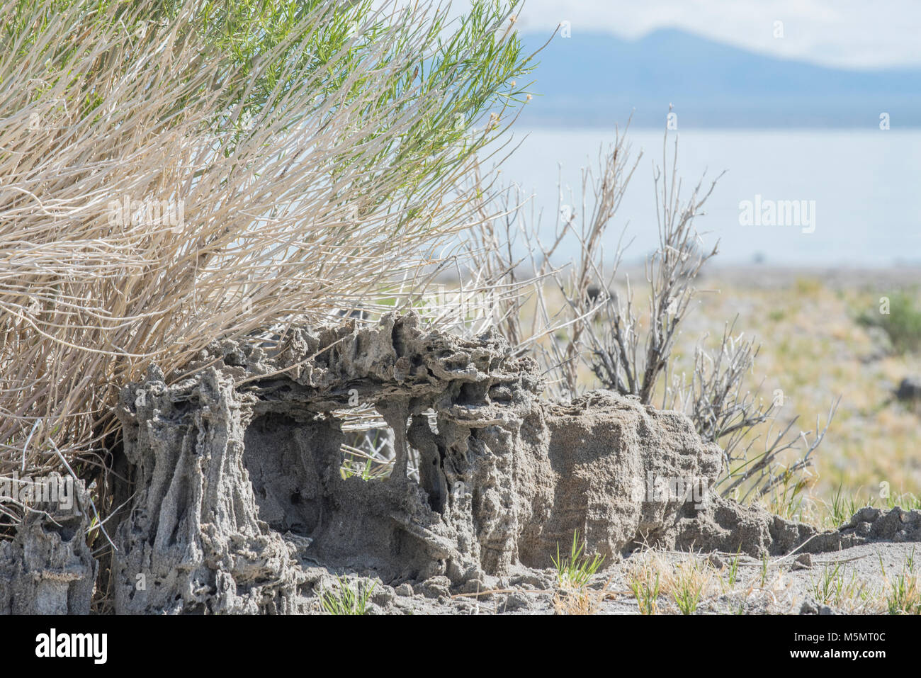 Sand tufas stand tall over Mono Lake, marking the salty water's recession over millenia in Lee Vining, California Stock Photo