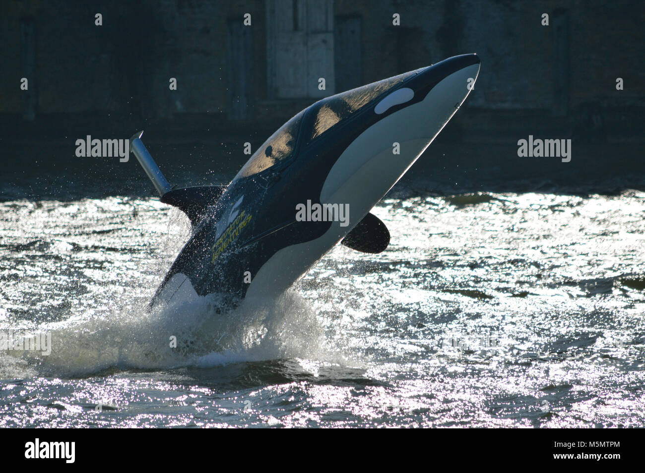 Predator Adventures offering thrill-rides in their Seabreacher Watercraft Killer Whale submersible speedboat in Royal Victoria Dock London Stock Photo