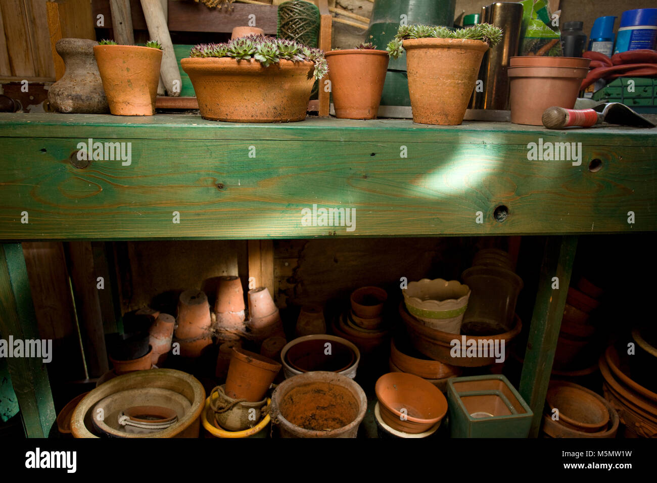 Garden shed interior with succulents on table Stock Photo