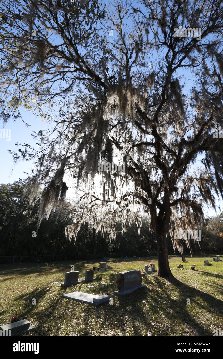 Historic Red Level cemetary in Florida Stock Photo Alamy