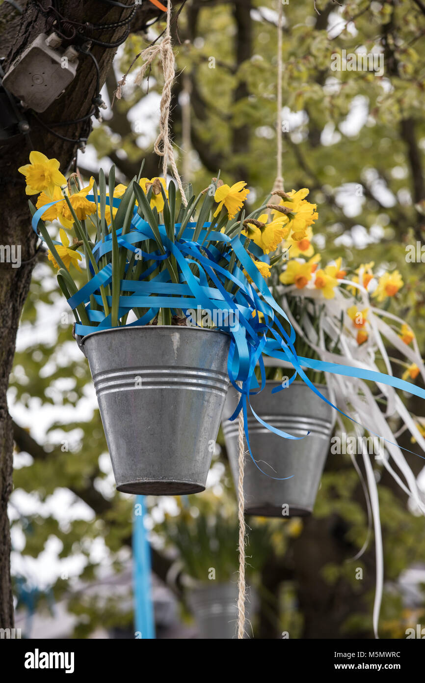 Noordwijkerhout, Netherlands - April 23,  2017: Decorations with hanging pails with yellow daffodils at the traditional flowers parade Bloemencorso fr Stock Photo