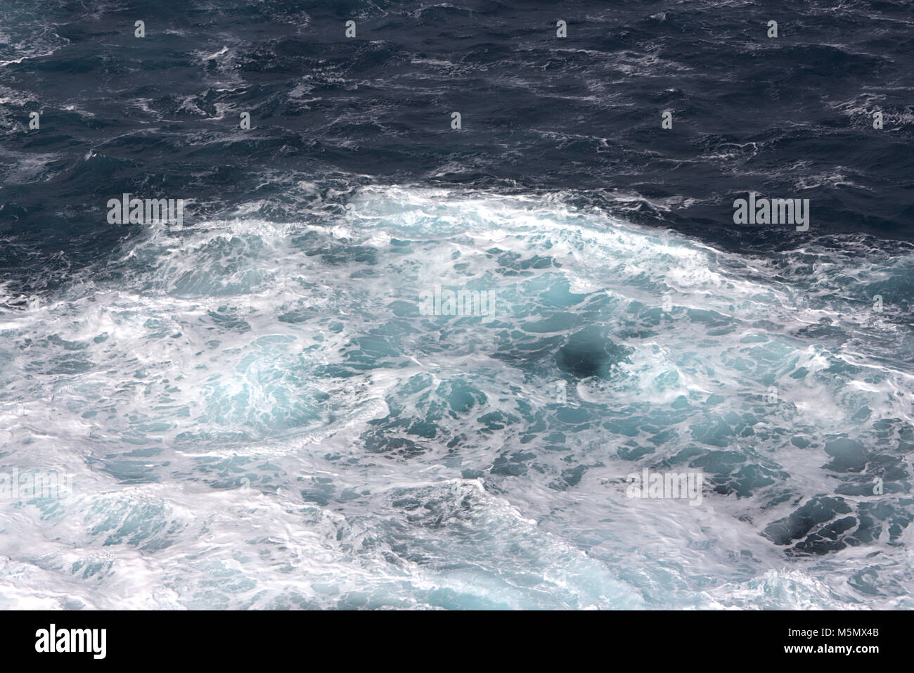 Lather High Resolution Stock Photography and Images - Alamy