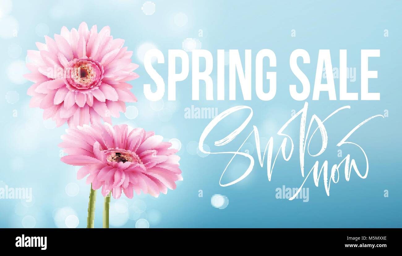 Pink gerbera daisies on a blue bokeh background. Spring sale lettering. Vector illustration Stock Vector