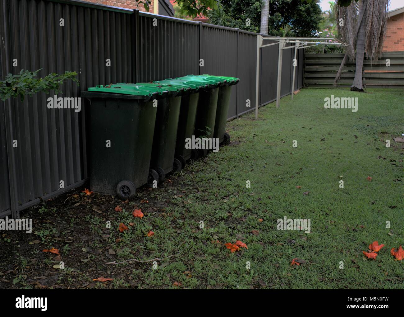 Green bins in yard. Organics bins with wheels. Garden organics bin for garden waste like shrubs, flowers, weeds, sticks, twigs, leaves, branches Stock Photo
