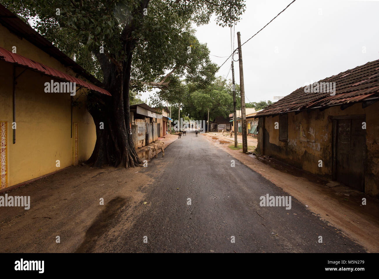 Streets in Thondaimanaru Sri Lanka Stock Photo