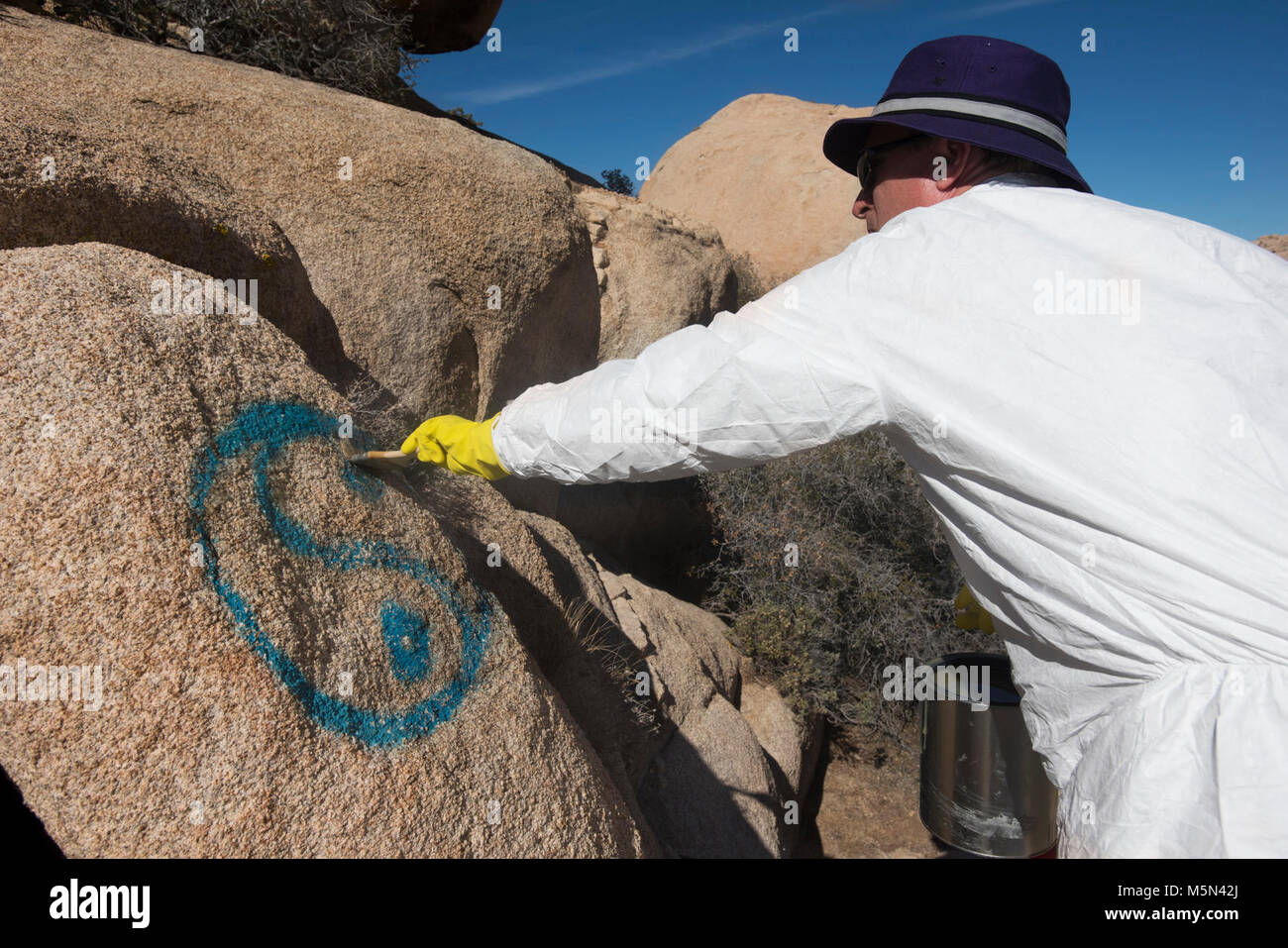 Applying Elephant Snot to graffiti for removal . Stock Photo