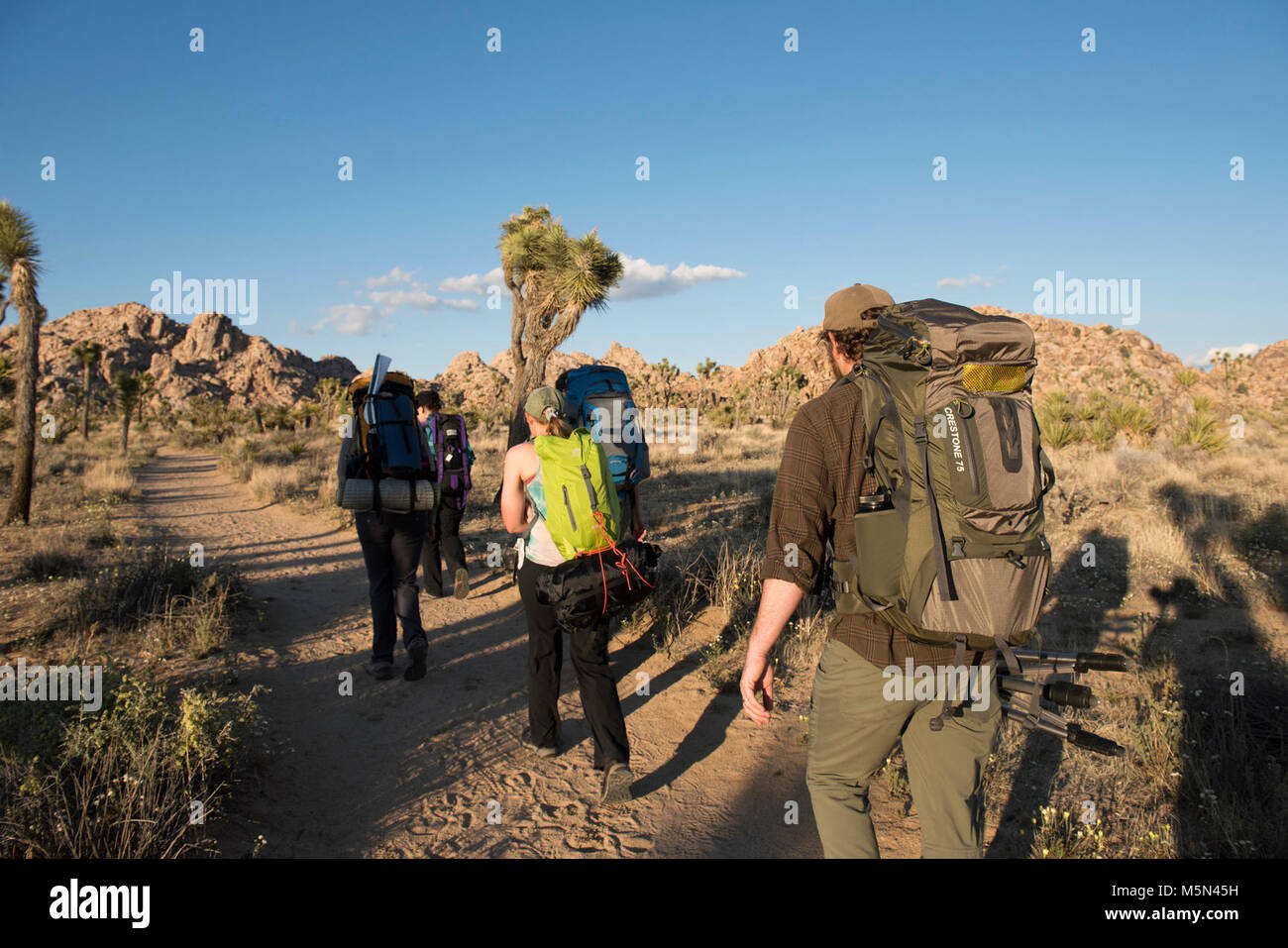 Backpacking along the Boy Scout Trail . Stock Photo