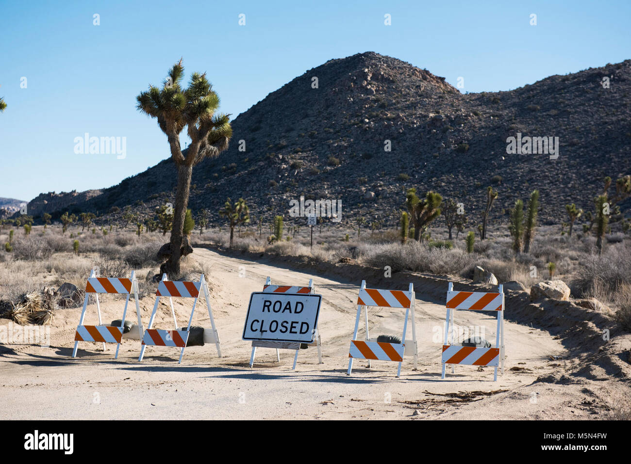 Closed roads due to flooding Stock Photo - Alamy