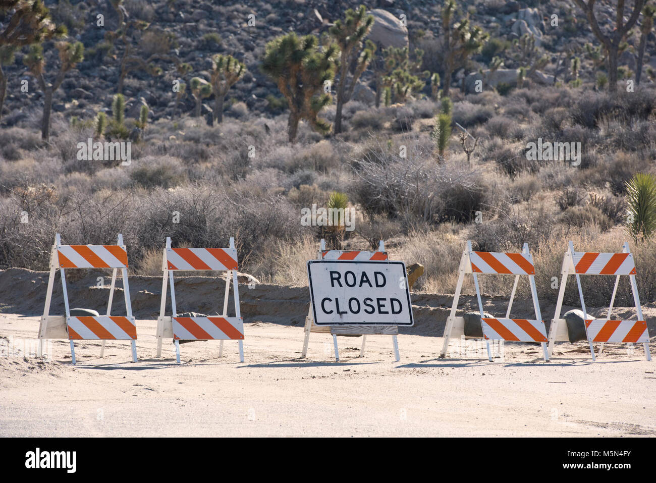 Closed roads due to flooding Stock Photo - Alamy